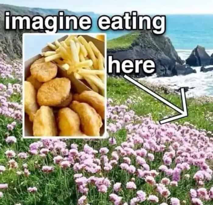 A scenic landscape irony funny meme features a gorgeous seaside cliffside covered in a lush field of pink wildflowers with an overlay picture of a greasy fast-food box containing chicken nuggets and french fries under the text "imagine eating here."