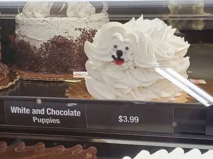 A hilarious bakery display section captured in a retail meme dump features a white-frosted cake meticulously sculpted to look like a fluffy puppy dog, sitting on a shelf above a label that literally describes the item as "White and Chocolate Puppies."
