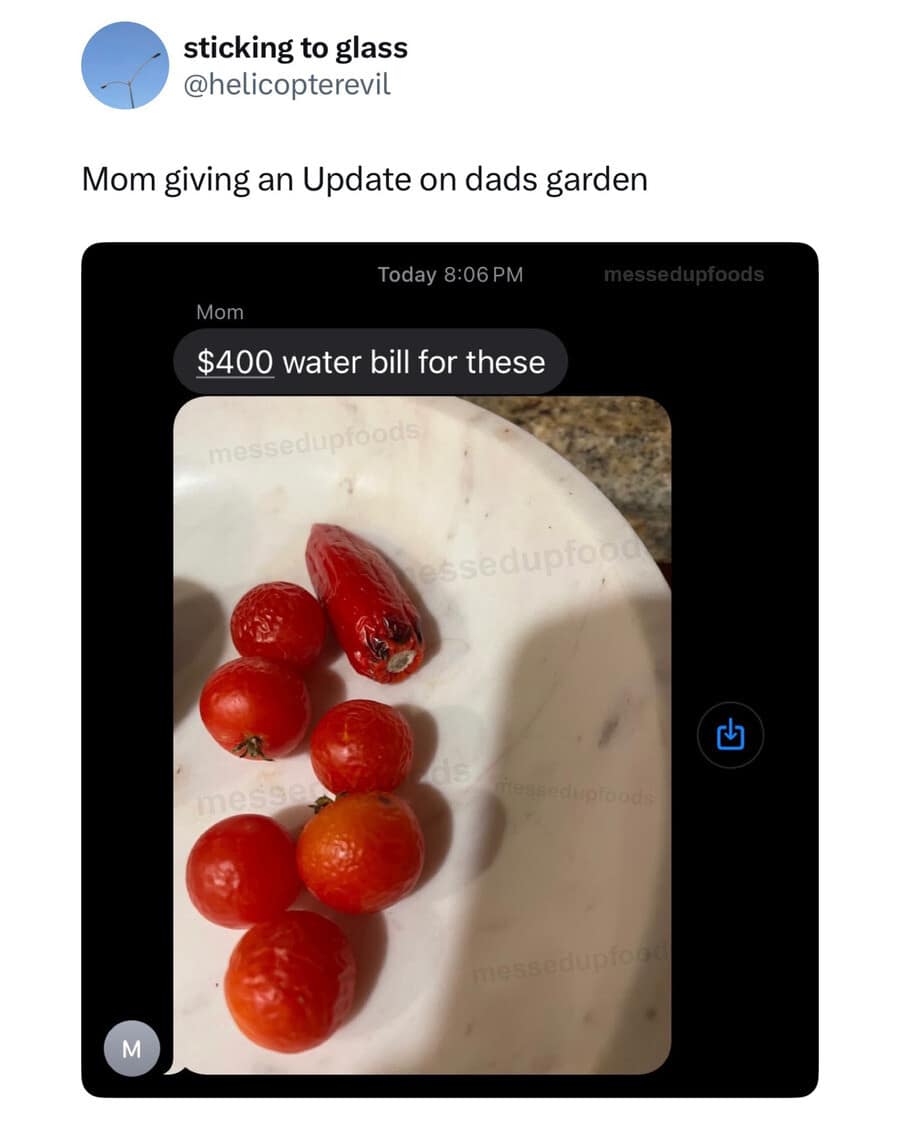 A gardening text message update inside a funny meme layout showing a small marble plate containing six tiny, wrinkled cherry tomatoes and one tiny red pepper, accompanied by Mom's deadpan message: "$400 water bill for these".