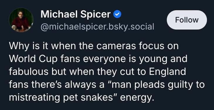 A screenshot of a text-based platform observation by Michael Spicer in a meme dump, questioning why international World Cup crowds always look incredibly young and fabulous while the camera cuts to England fans who radiate a "man pleads guilty to mistreating pet snakes" energy.