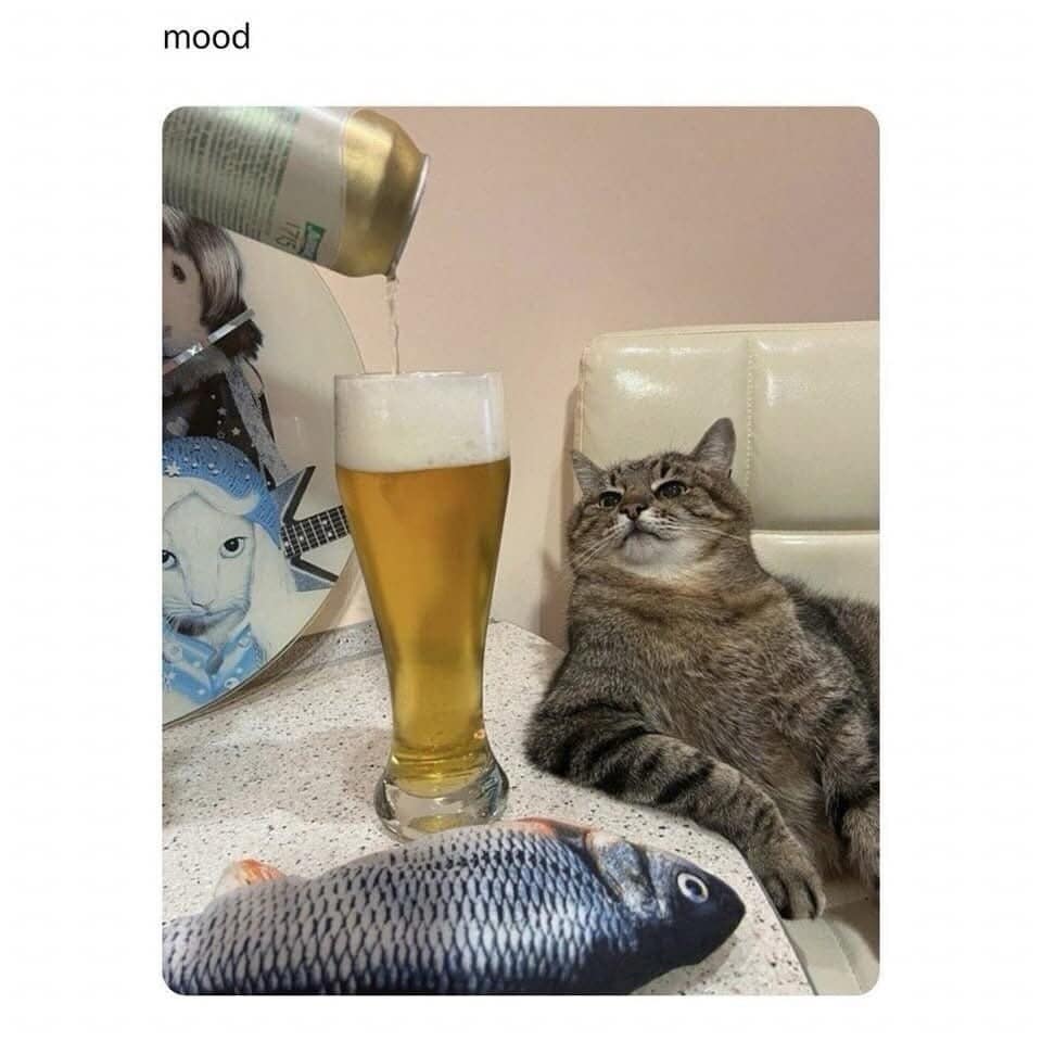 A charming animal reaction image functioning as a funny meme shows a smug tabby cat reclining casually like a human on a plush white armchair while a golden beer is poured from a can into a tall glass on the table next to a realistic stuffed plush fish.