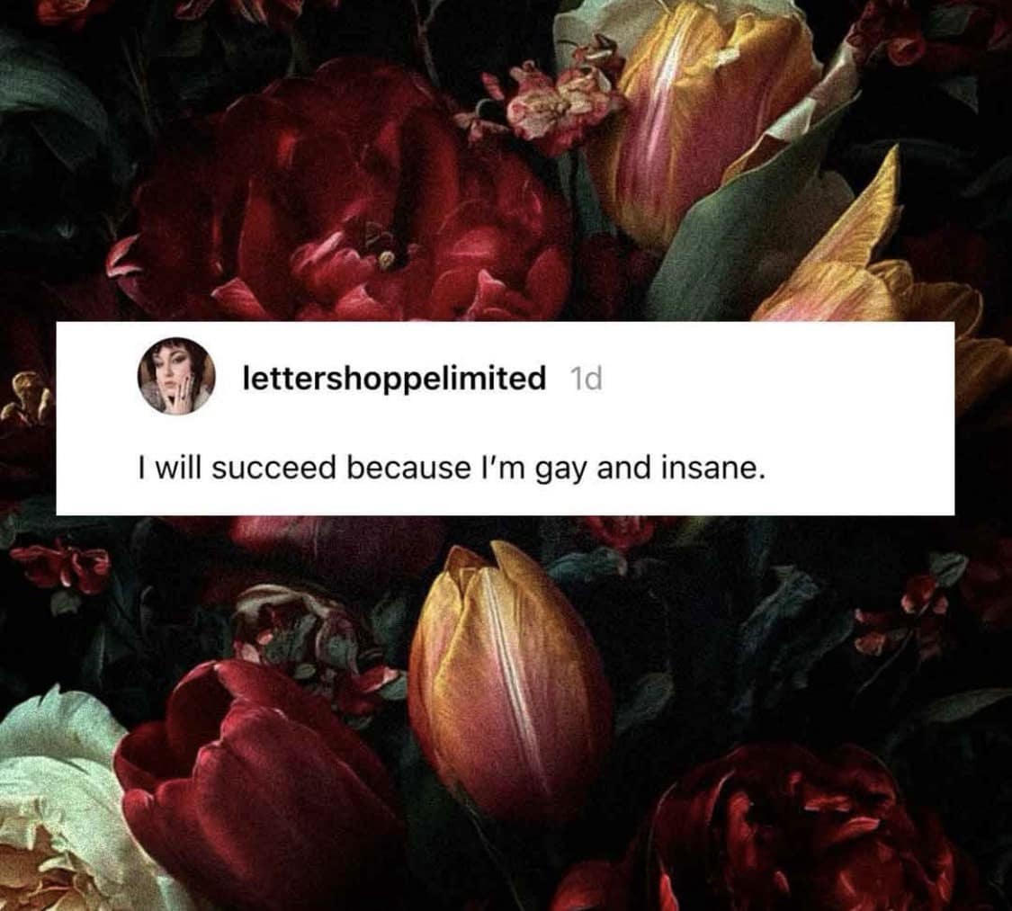 A text-graphic overlay screenshot from an internet meme dump by user lettershoppelimited reading, "I will succeed because I'm gay and insane," placed against a dramatic Renaissance-style oil painting background of deep crimson and gold tulips.