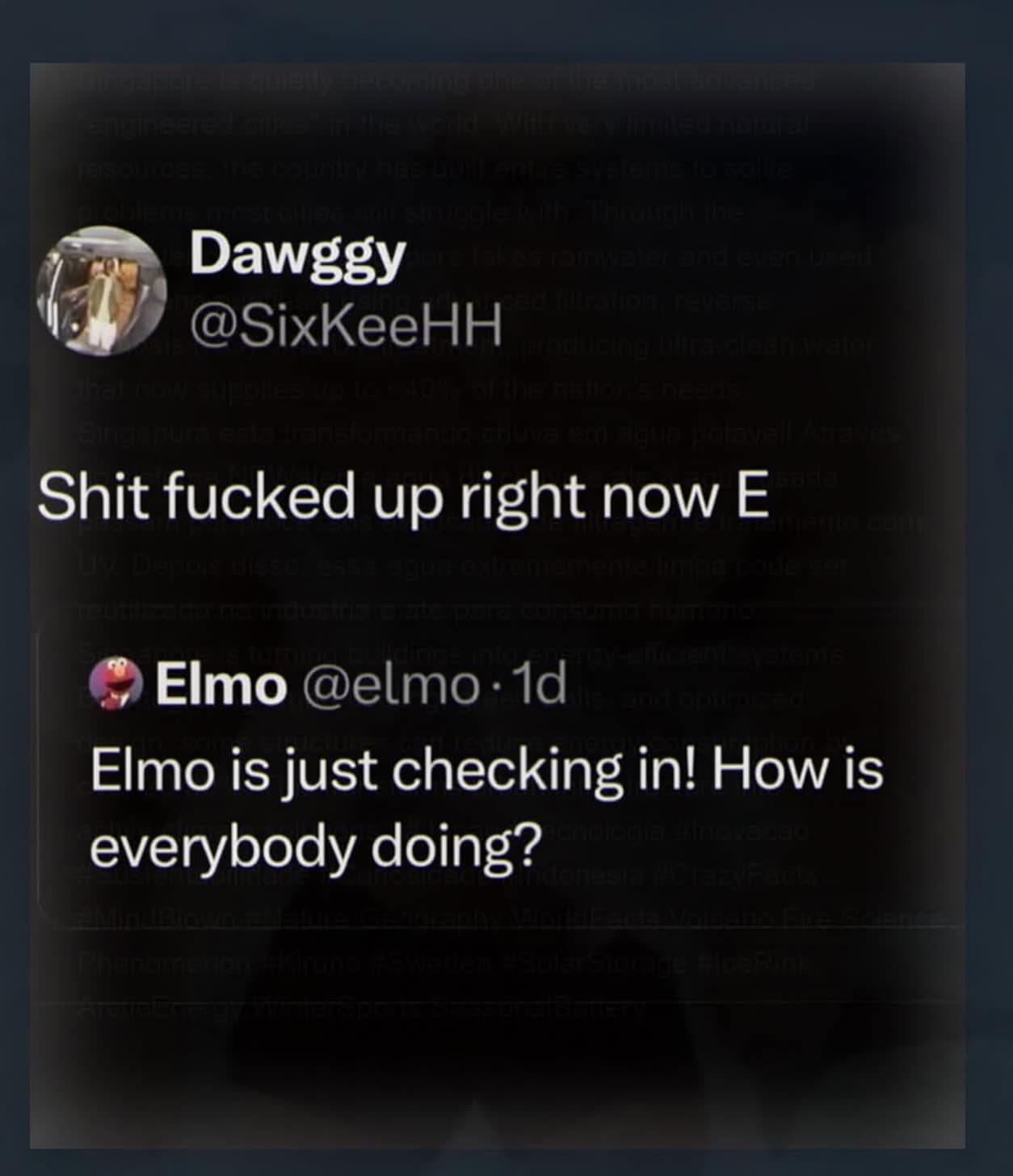 A hilarious dark-mode social media interaction from an internet meme dump shows a wholesome check-in tweet from the official Elmo account met with a brutally blunt, explicit response from user Dawggy stating "Shit fucked up right now E."