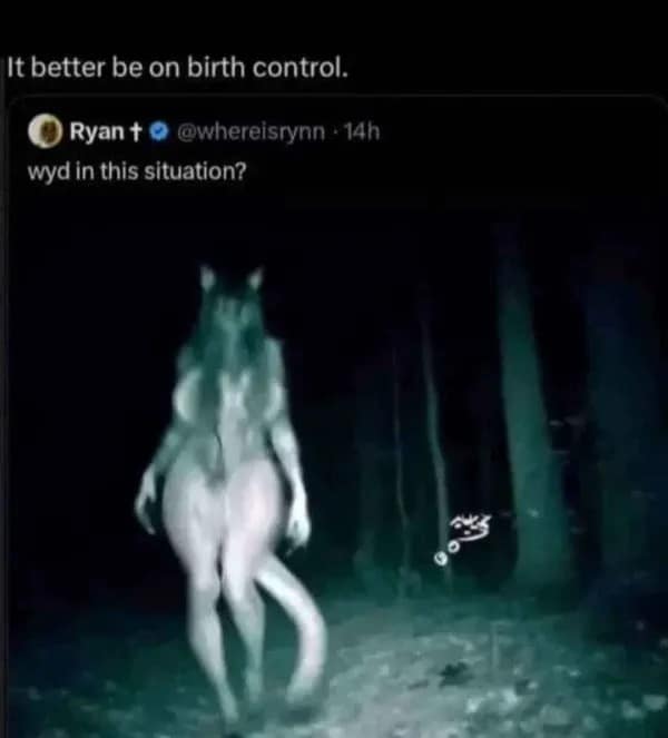 Night-vision trail cam cryptid screenshot in a hilarious meme displaying a feline anthropomorphic creature under text asking "wyd in this situation?".