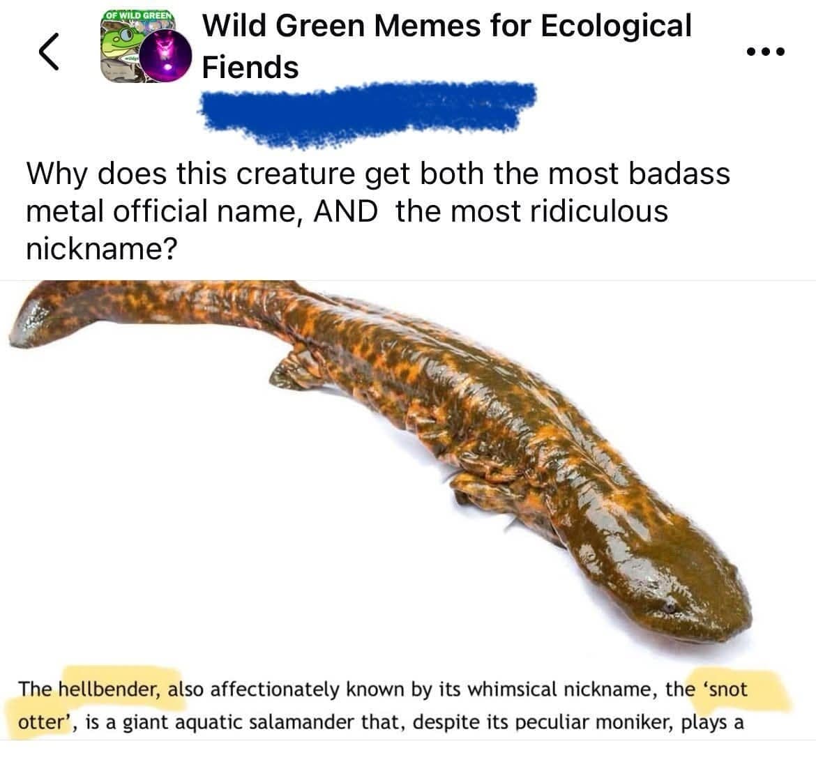 A biological trivia post inside an ecological meme dump highlighting a large mottled brown giant salamander, questioning why the creature gets the incredibly heavy-metal official name "Hellbender" while simultaneously carrying the ridiculous nickname "snot otter".