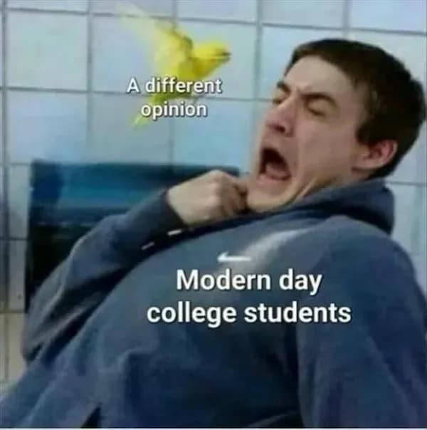 A viral political satire meme from a meme dump showing a young man in a blue Nike hoodie recoiling in exaggerated agony and terror as a tiny, harmless yellow bird flies near his face. The bird is labeled "A different opinion" and the student is labeled "Modern day college students."