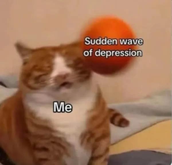 Tabby cat text macro from a meme dump labeled "Me" getting forcefully struck by a fast-moving orange ball labeled "Sudden wave of depression".