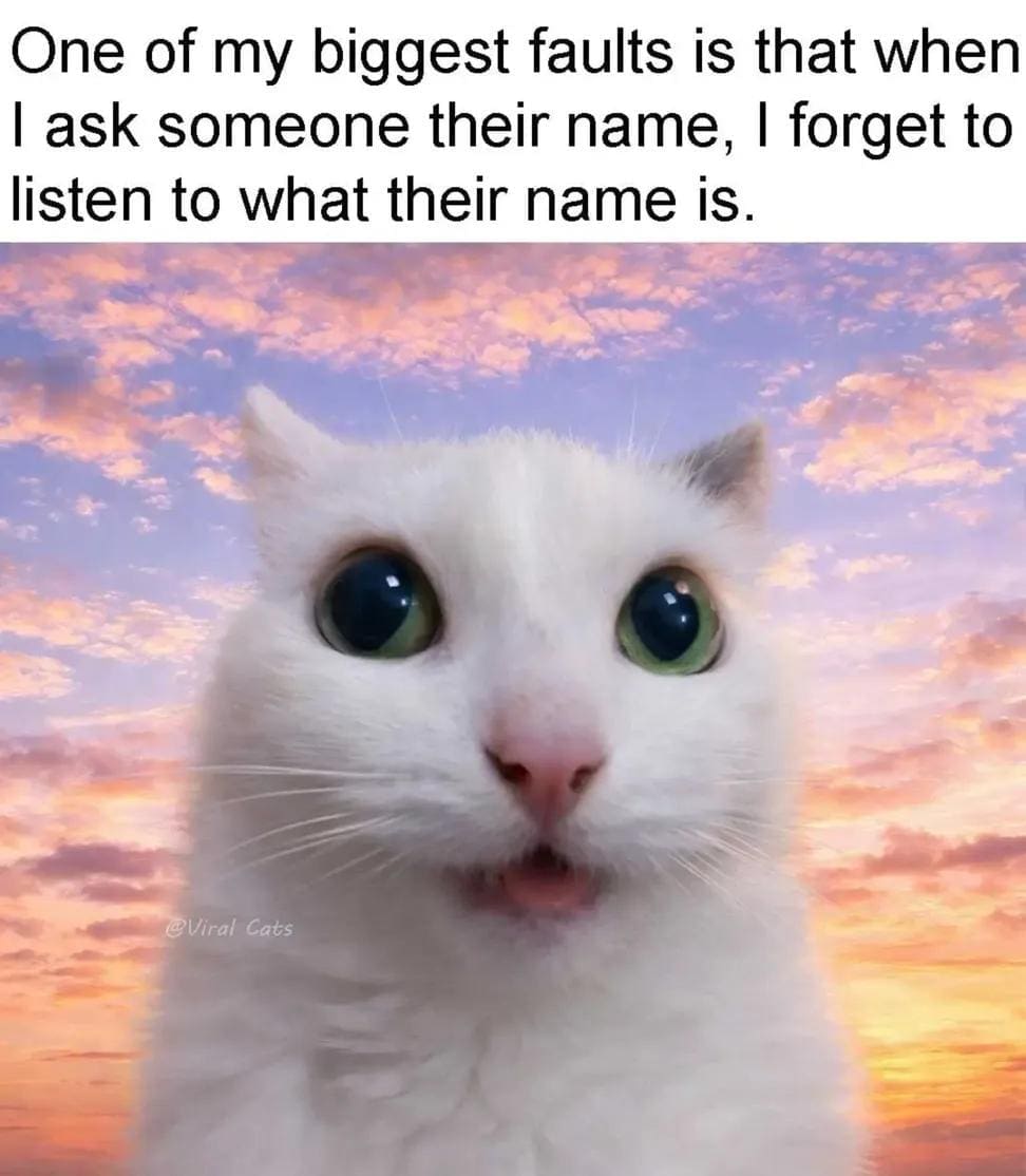 A relatable social anxiety post from a meme dump showing a picture of a white cat looking incredibly confused with wide eyes under a pink sunset sky, captioned: "One of my biggest faults is that when I ask someone their name, I forget to listen to what their name is."