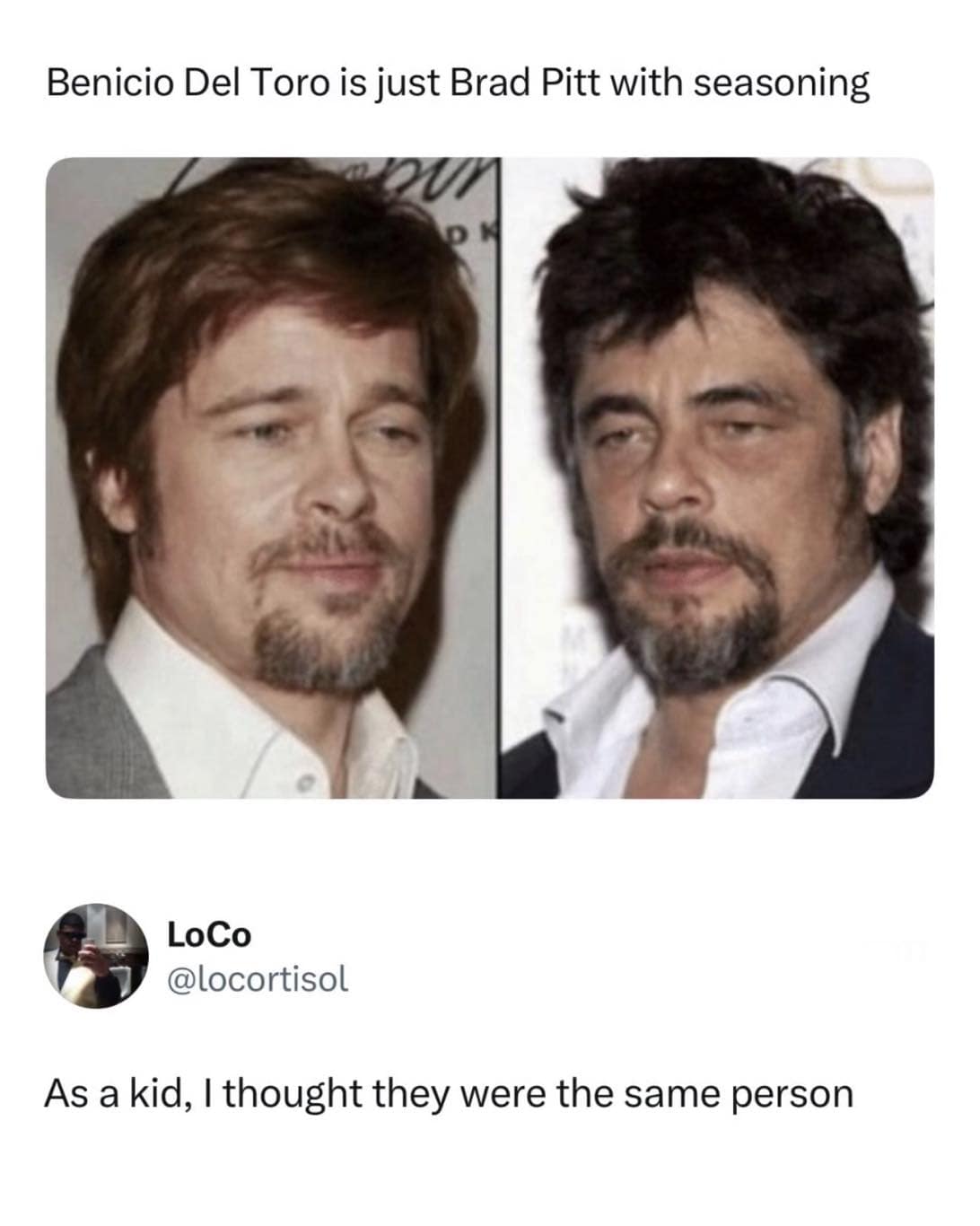 A celebrity doppelgänger comparison from a funny meme dump positions a side-by-side view of Brad Pitt and Benicio Del Toro looking strikingly similar with goatees and messy hair, under user text declaring Benicio is simply Brad Pitt with extra seasoning.