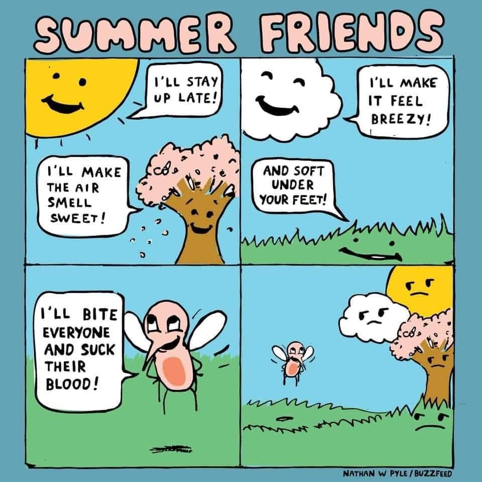 four-panel webcomic by Nathan W. Pyle indexed in this meme dump, titled "Summer Friends," where personified versions of the sun, a cloud, a tree, and the grass happily announce their pleasant seasonal contributions before a pink mosquito proudly declares "I'll bite everyone and suck their blood!", prompting the others to glare down at it in absolute silence.