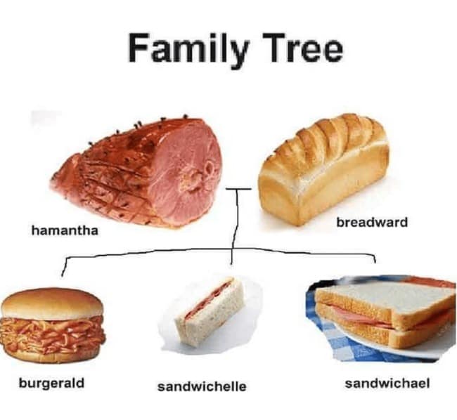 An absurd culinary genealogy chart from a meme dump titled "Family Tree." It features "hamantha" (a baked glazed ham studded with cloves) and "breadward" (a golden loaf of white bread) as the parents, branching down to their three sandwich children: "burgerald" (a pulled pork sandwich), "sandwichelle" (a delicate finger sandwich), and "sandwichael" (a standard ham sandwich on white bread).