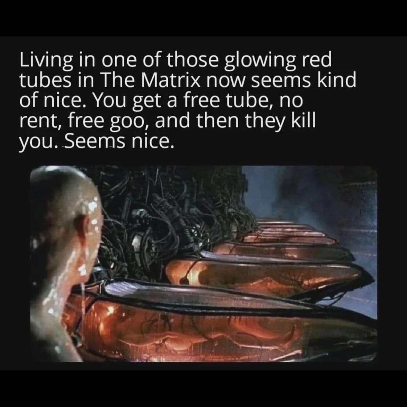 A screenshot of an existential text post from a meme dump arguing that living in a fluid-filled pod in The Matrix sounds appealing because it provides a free tube, free goo, and zero monthly rent bills, paired with a movie still of the glowing red human pod towers.