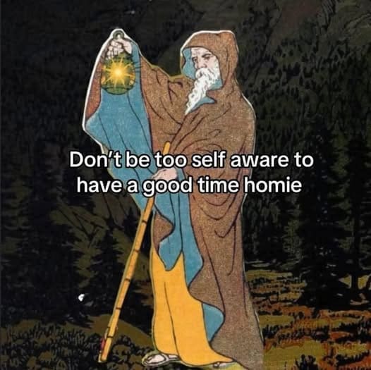 A fantasy-style illustration in a meme dump displaying a medieval robed hermit holding a tall walking staff and lifting a glowing golden lantern in a dark woodland environment, overlaid with the funny text: "Don't be too self aware to have a good time homie".