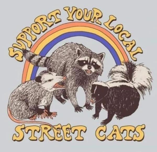 A retro-style illustrated apparel design from an online meme dump reading "SUPPORT YOUR LOCAL STREET CATS" underneath a rainbow arch, displaying stylized drawings of a hissing opossum, an angry raccoon, and a skunk.