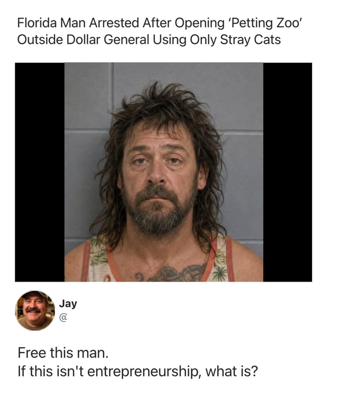 A viral news screenshot from a popular meme dump features a wild mugshot of a rugged man with messy hair, detailing a headline about a Florida man arrested for running a rogue petting zoo outside a Dollar General using only stray cats, under a comment by Jay reading, "Free this man. If this isn't entrepreneurship, what is?"