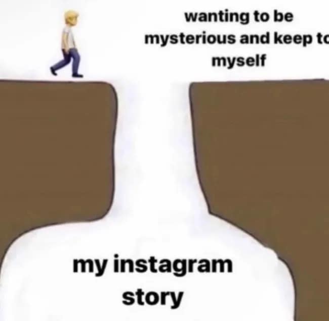 Chasm jump chart in a meme dump tracking the massive gap between wanting to be mysterious and posting your entire life onto an Instagram story.