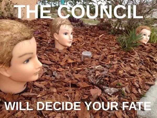 A suburban garden snapshot in a meme dump featuring three plastic cosmetology mannequin heads buried to their necks in brown wood mulch, overlaid with the ominous caption: "THE COUNCIL WILL DECIDE YOUR FATE."
