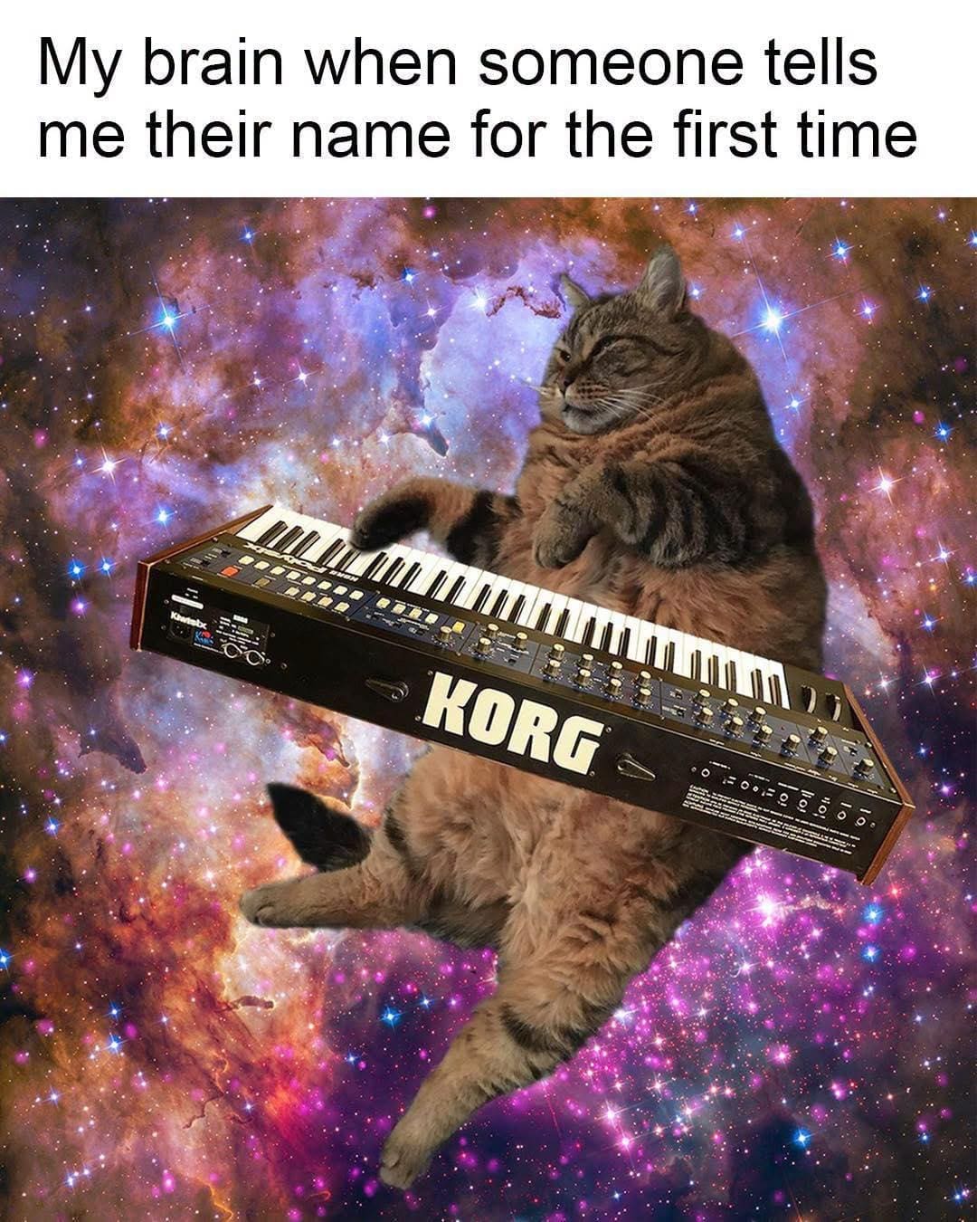 hilarious meme inside a meme dump showing a chunky domestic tabby cat floating contentedly through a deep space nebula while playing a vintage Korg keyboard synthesizer, under the header: "My brain when someone tells me their name for the first time".