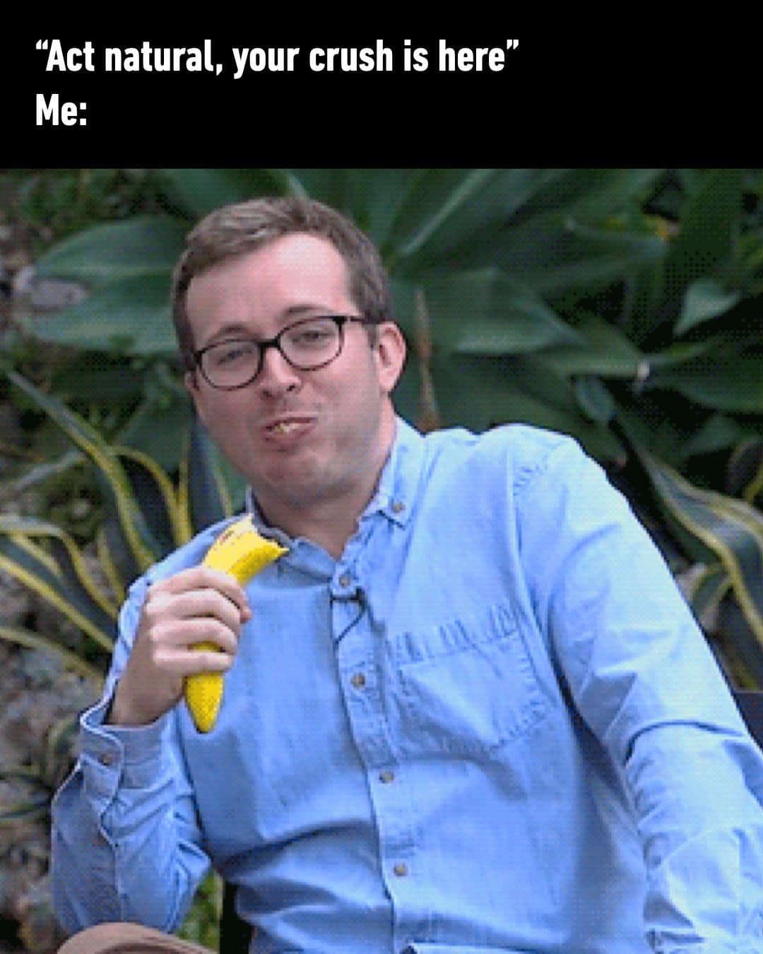 highly relatable social anxiety meme from a meme dump with the text: "“Act natural, your crush is here.”" The attached photo shows a man with glasses wearing a blue button-down shirt looking extremely tense as he attempts to bite and chew into a banana completely sideways in public.
