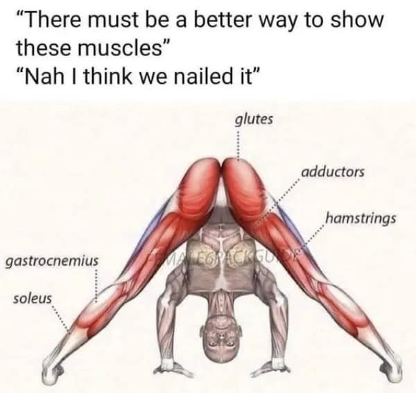 Human muscle anatomy chart in a meme dump displaying a person performing an inverted headstand to show off leg and glute muscle labels.