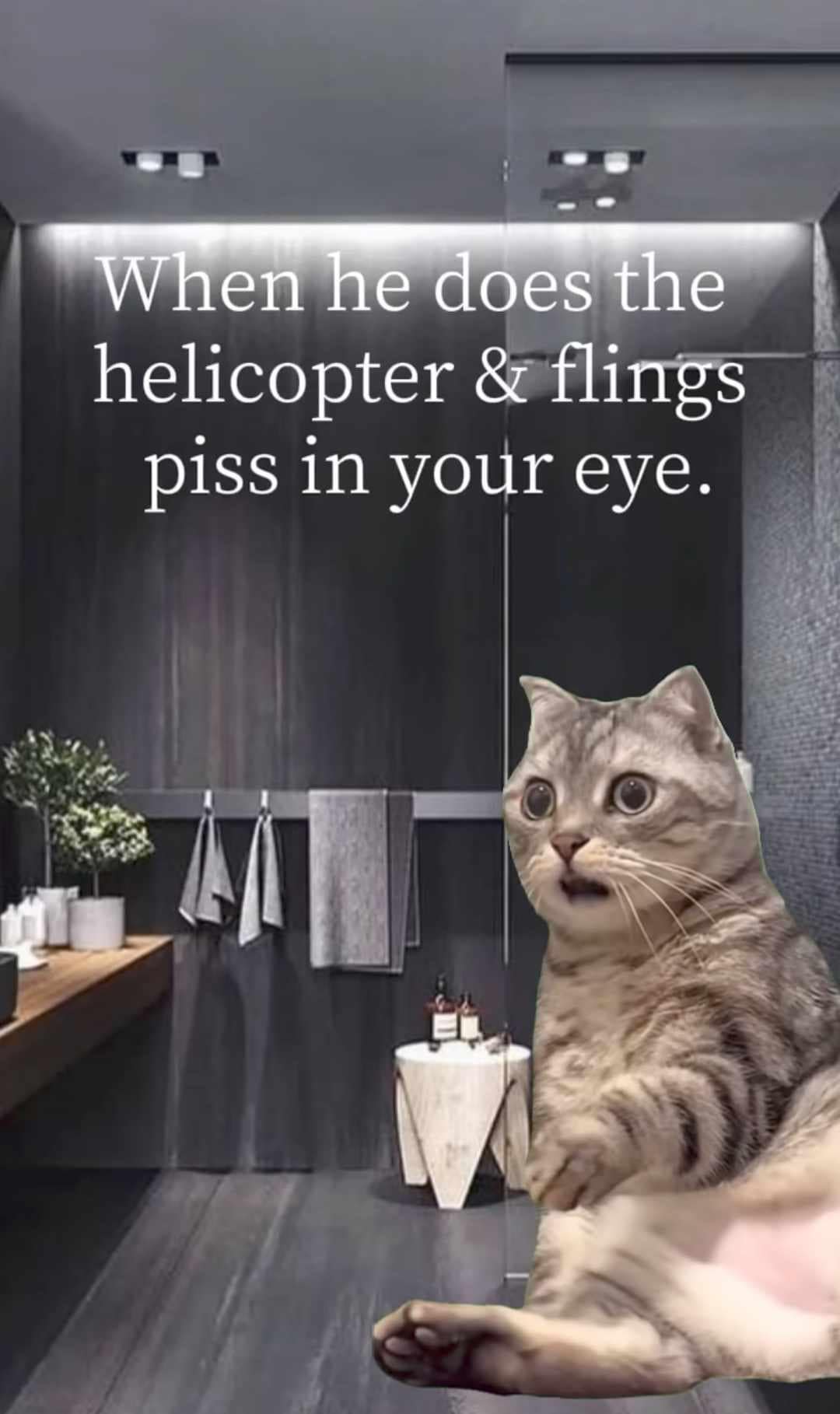 A reaction style funny meme featuring a wide-eyed, completely stunned tabby cat photoshopped onto a glass shower door in a modern dark bathroom, beneath a crude caption about bathroom mishaps.