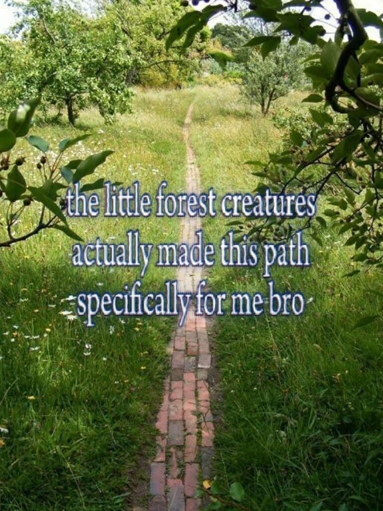 A naturecore aesthetic image in a hilarious meme showing a picturesque brick path winding through a lush green forest, overlaid with delusional text claiming the woodland creatures built it specifically for the narrator.