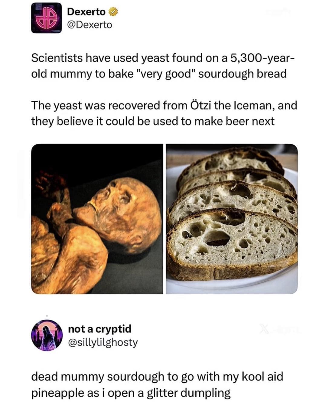 Ancient mummy photo contrasted next to freshly baked sourdough bread slices inside a social media screenshot from an online meme dump.