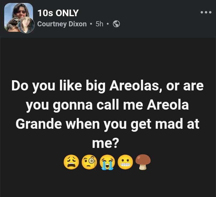 Facebook text macro included in a meme dump making an incredibly direct, raunchy pun based on pop star Ariana Grande's name.
