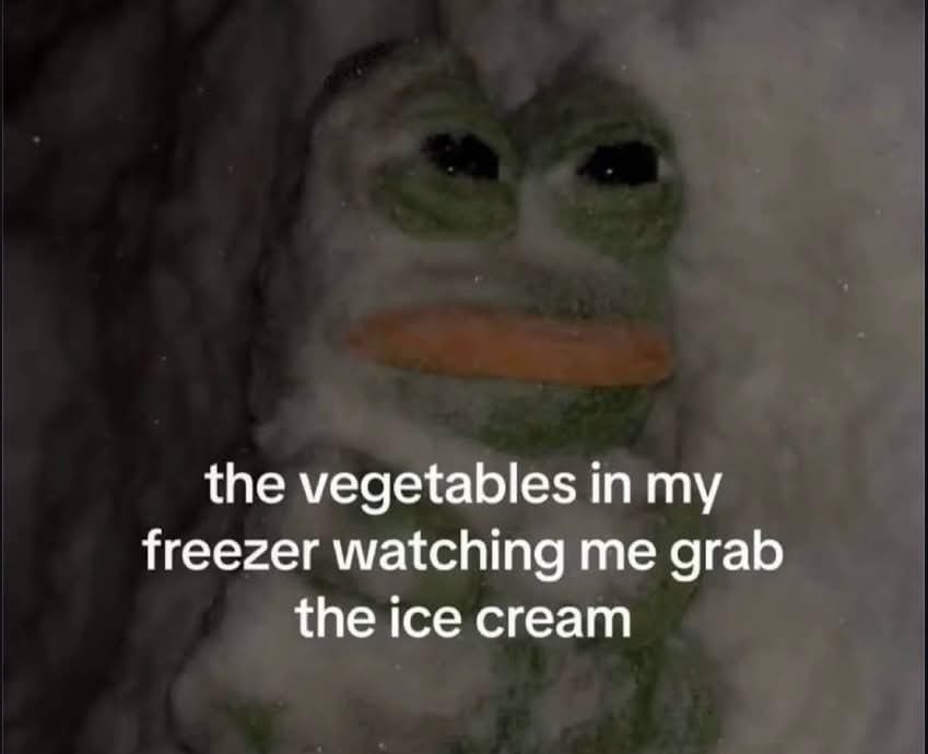 A deeply relatable kitchen funny meme from a meme dump featuring a close-up picture of a Pepe the Frog plush toy completely frozen solid inside a block of ice and freezer frost, captioned: "the vegetables in my freezer watching me grab the ice cream".