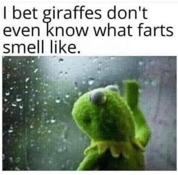 A philosophical, rain-soaked puppet meme from a meme dump showing Kermit the Frog leaning deeply against a water-streaked window pane in a state of profound melancholy. The text above features a completely random shower thought: "I bet giraffes don't even know what farts smell like."