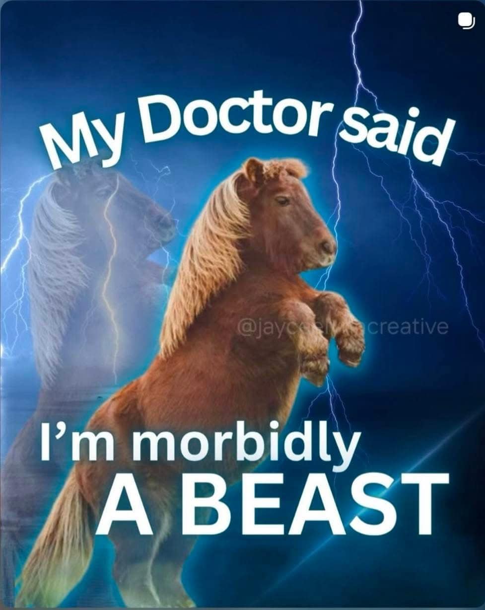 text and image mashup in a meme dump displaying a miniature pony horse rearing up majestically against a background of epic blue lightning strikes under the subverted health diagnosis text: "My Doctor said I'm morbidly A BEAST."