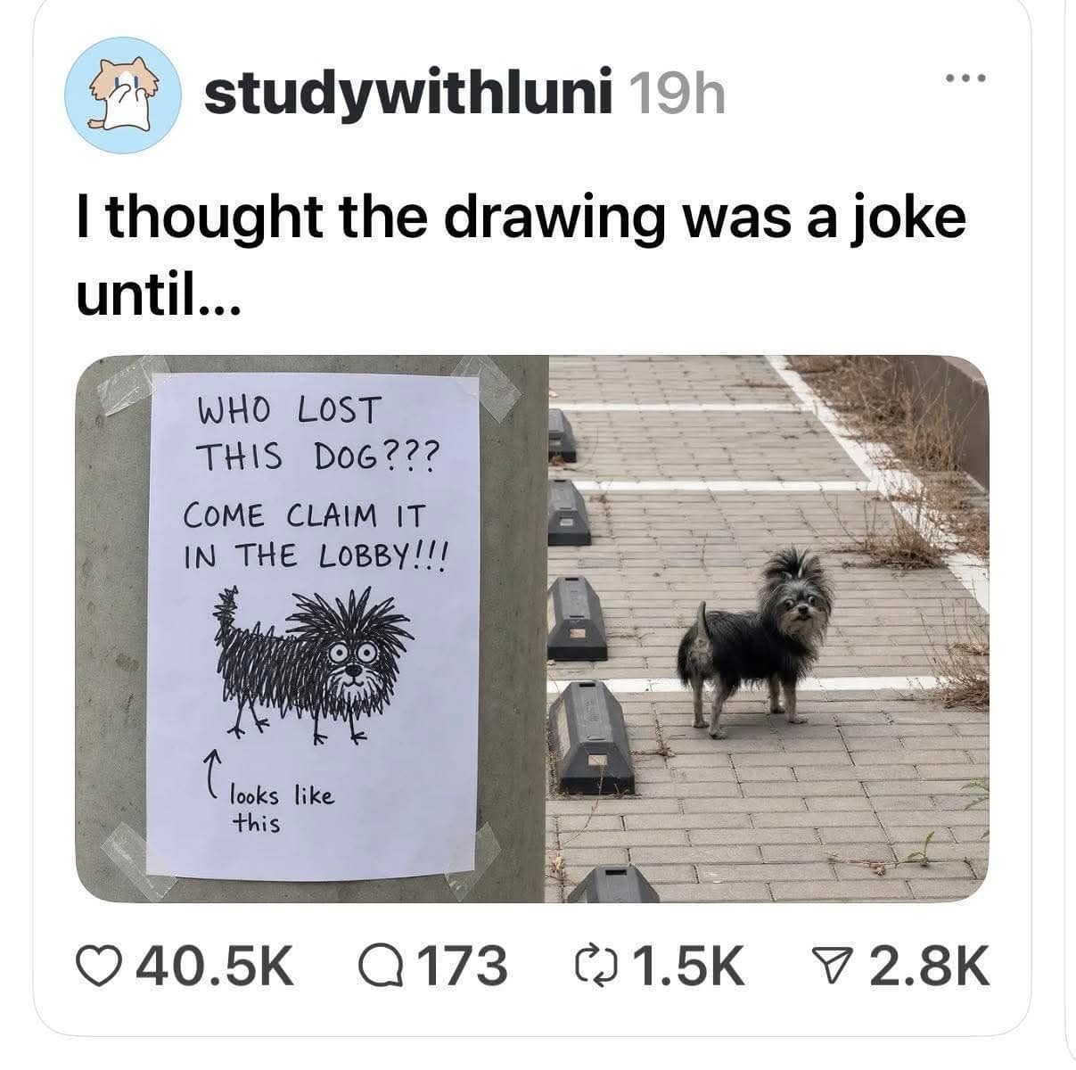 A viral animal identification screenshot from a meme dump showing a physical flyer taped to a pole that reads, "WHO LOST THIS DOG??? COME CLAIM IT IN THE LOBBY!!!" complete with a crude scribble of a spiky, wild-eyed black creature. Standing directly next to the post is a real-life, tiny, incredibly scruffy black dog that looks identical to the unhinged cartoon sketch.