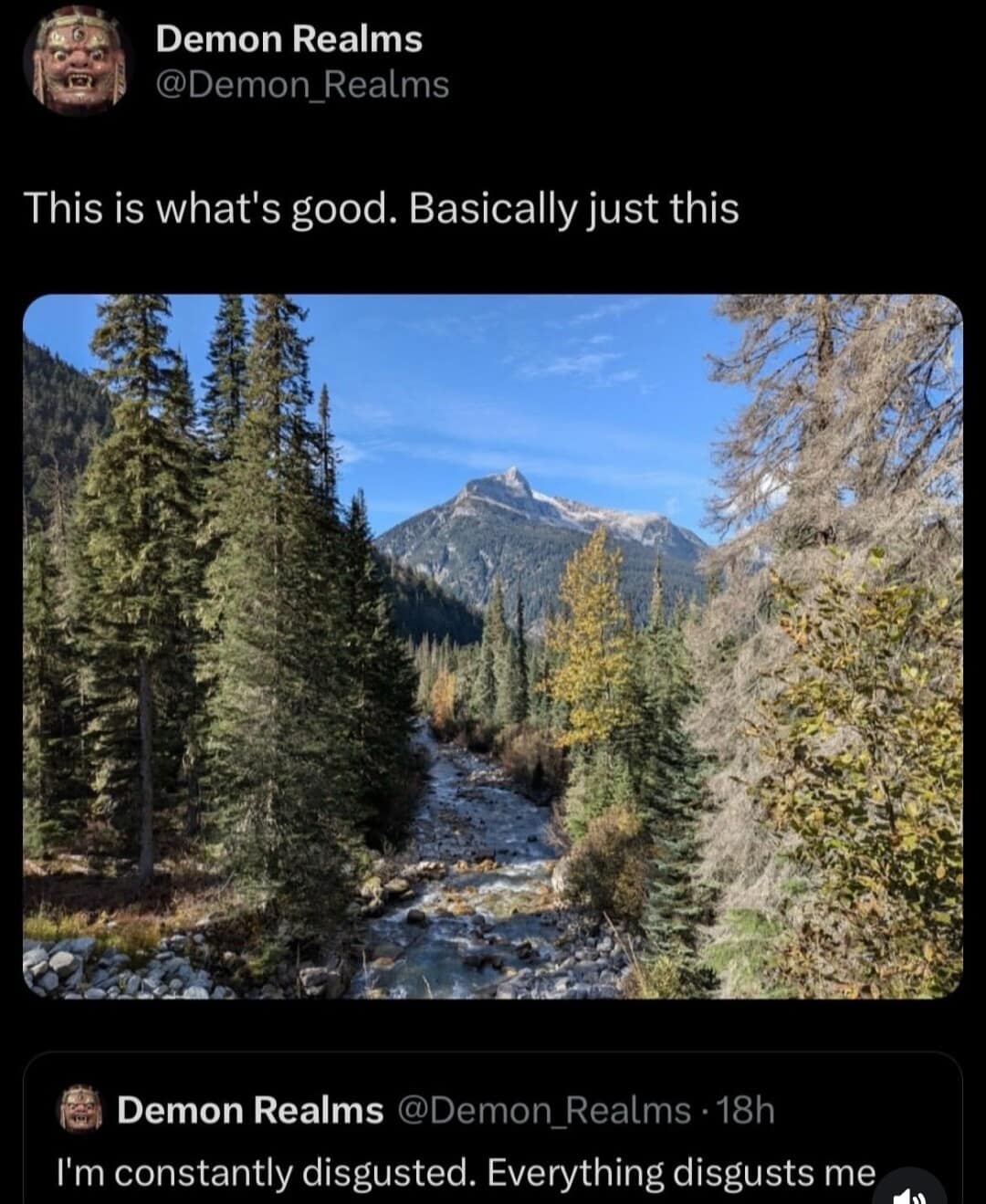 screenshot of a funny contrasting post in a social media meme dump by user @Demon_Realms, pairing a scenic mountain stream photo captioned "This is what's good. Basically just this" with a grim profile subtitle stating "I'm constantly disgusted. Everything disgusts me."