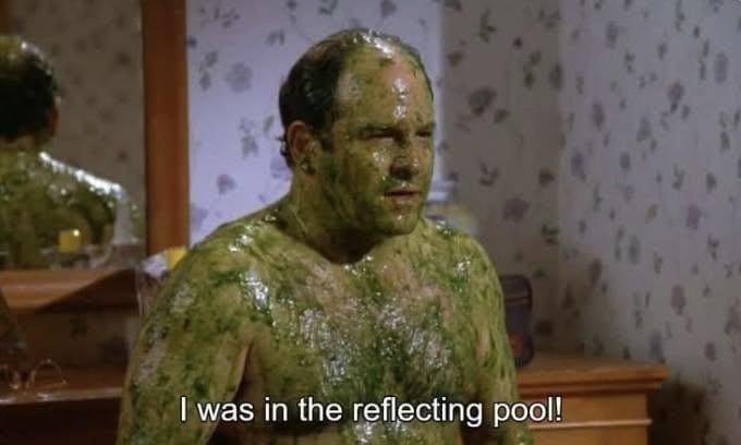 A classic television reaction scene inside a meme dump featuring George Costanza from Seinfeld standing in a bathroom completely covered head-to-toe in a thick, slimy green algae substance, yelling the subtitled excuse: "I was in the reflecting pool!"