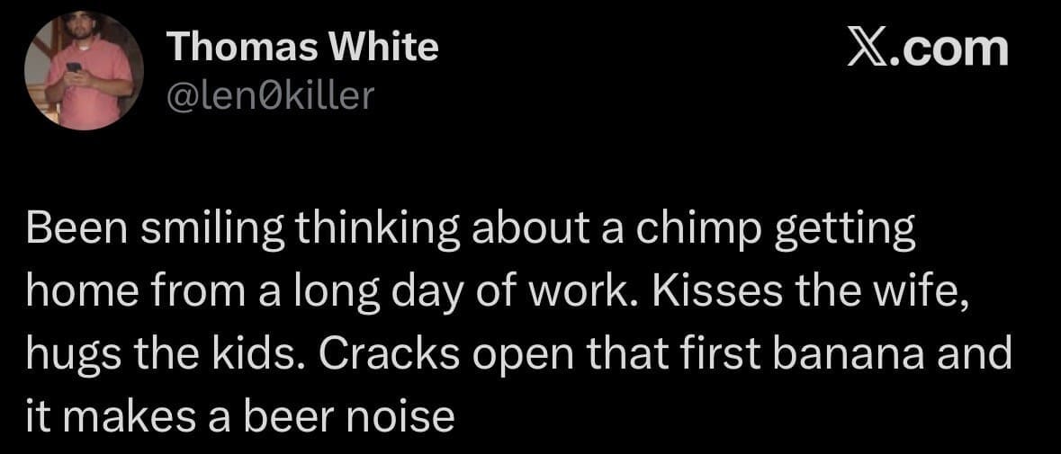 An entertaining text joke from a meme dump by user Thomas White (@len0killer), sharing a wholesome mental image of a chimpanzee returning home from a grinding day of office labor, kissing his family, and cracking open a banana that makes a refreshing beer pop sound.