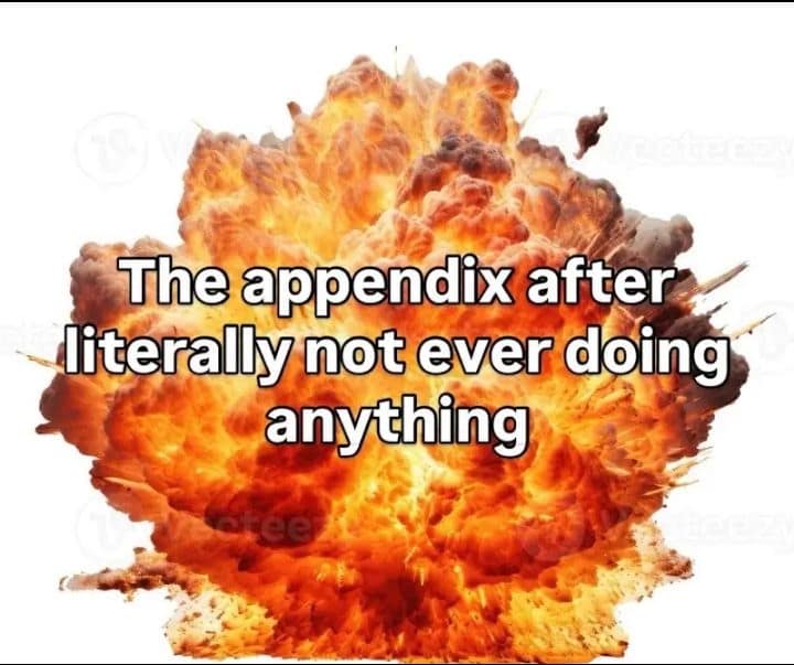 A relatable biological entry from a meme dump showing a massive, fiery stock explosion graphic against a plain white background, overlaid with the text: "The appendix after literally not ever doing anything."