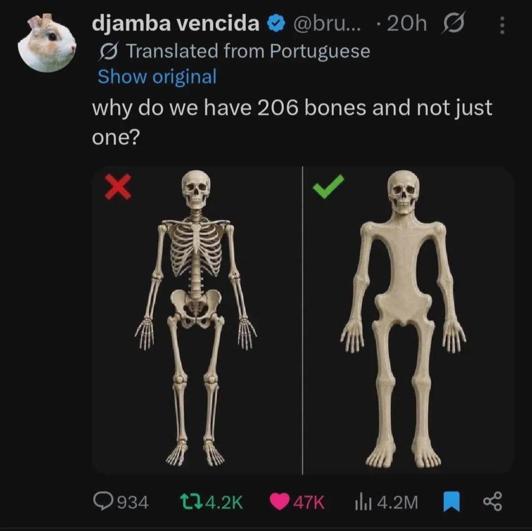 A surreal anatomy tweet in a meme dump asking "why do we have 206 bones and not just one?" accompanied by a side-by-side 3D render comparison of a normal human skeleton next to a horrific, unjointed solid-bone figure.