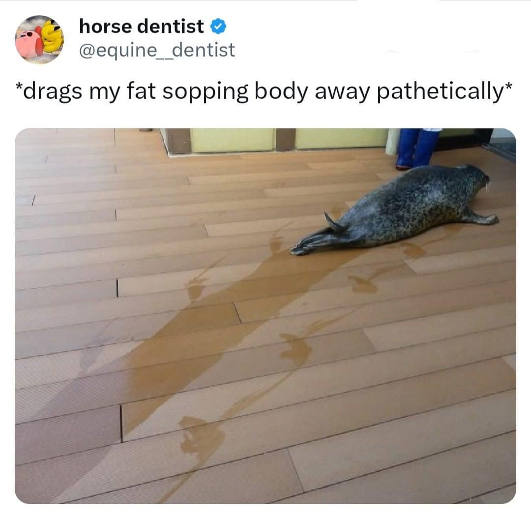 Viral social media screenshot from a popular meme dump showing a wet, speckled harbor seal pathetically dragging its body across a wooden deck while leaving a glistening damp trail behind it.