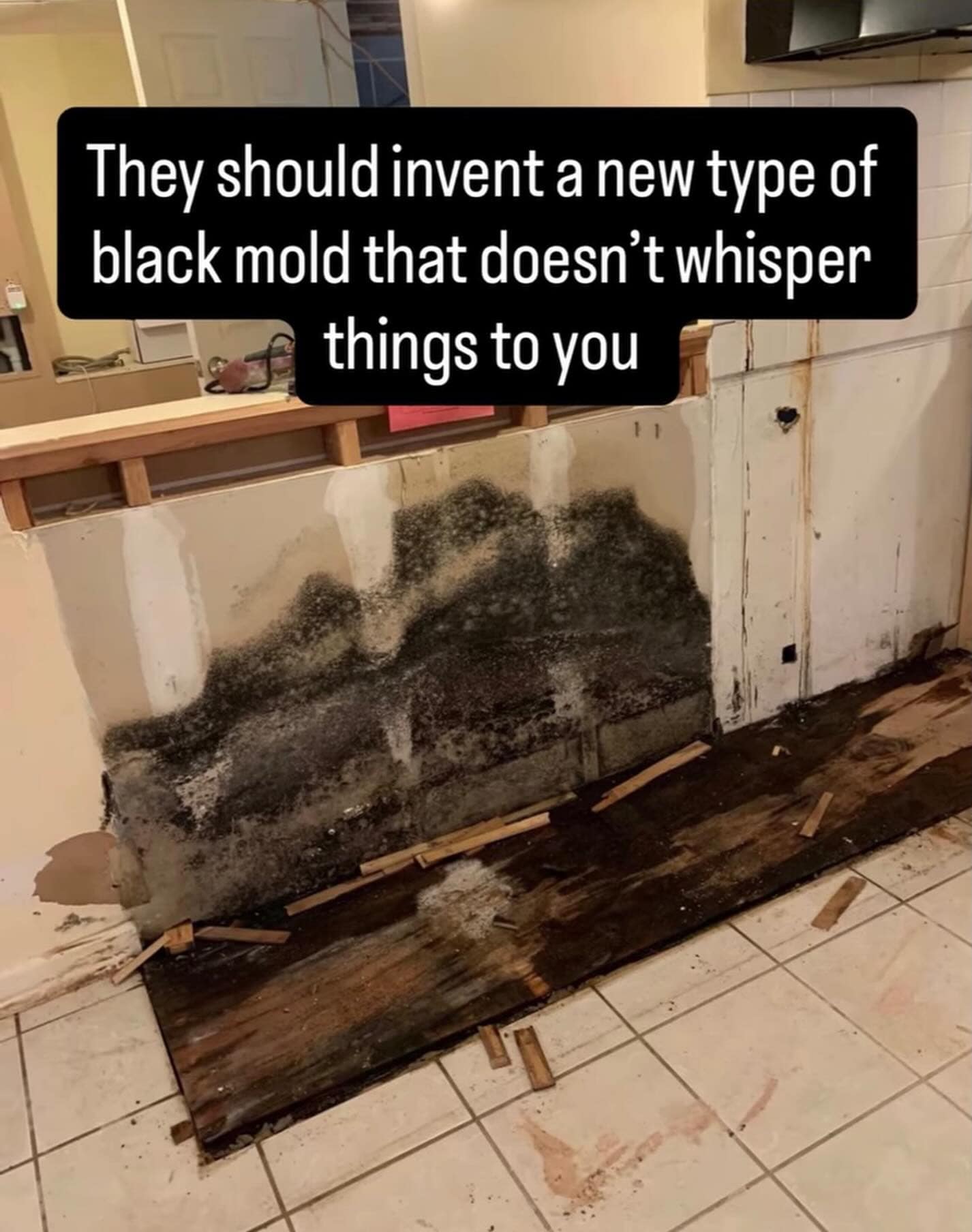 A dark-humor home repair snapshot from an internet meme dump features a massive, dangerous patch of toxic black mold growing heavily behind stripped kitchen drywall, with a deadpan caption suggesting science should invent a variant that doesn't whisper things to you.