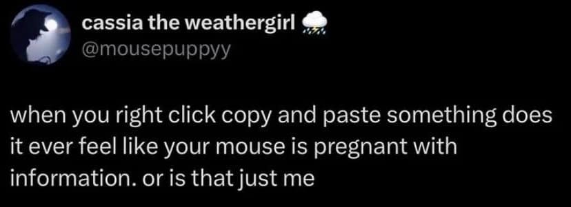 A dry, philosophical text tweet included in a funny meme stream wondering if anyone else feels like their computer mouse becomes physically pregnant with information whenever using copy-and-paste hotkeys.