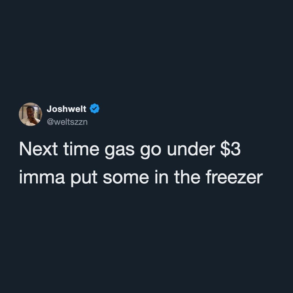 An absurd financial advice tweet found in a popular meme dump features a post from user @weltszzn confidently declaring that the next time gas prices drop below three dollars, he plans to stash some fuel away inside his home kitchen freezer.