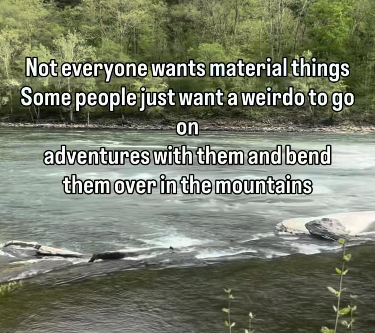 Image macro text overlay from a meme dump superimposed over a fast-rushing wild river backdrop, outlining an explicit alternative to traditional material relationship goals.