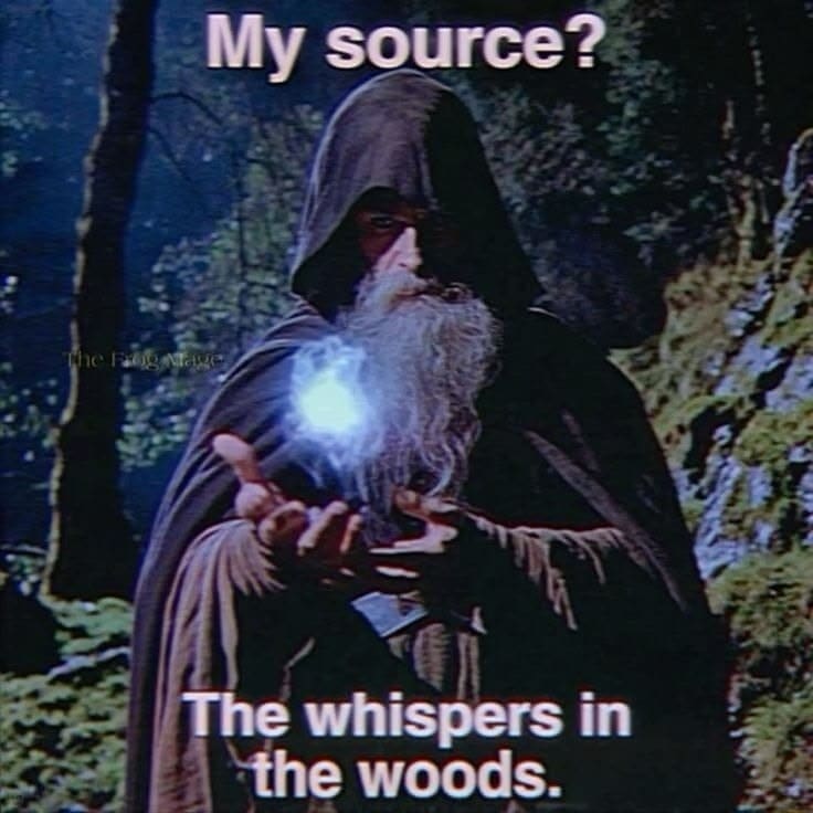 A classic fantasy-styled meme dump image macro showing a bearded wizard in a dark hood holding a glowing blue orb of magical light, answering the question "My source?" with the text: "The whispers in the woods."