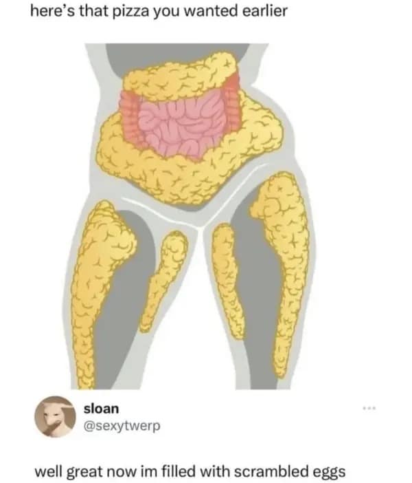 Anatomy chart graphic in a meme dump with an attached social media text comment reading, "well great now im filled with scrambled eggs".