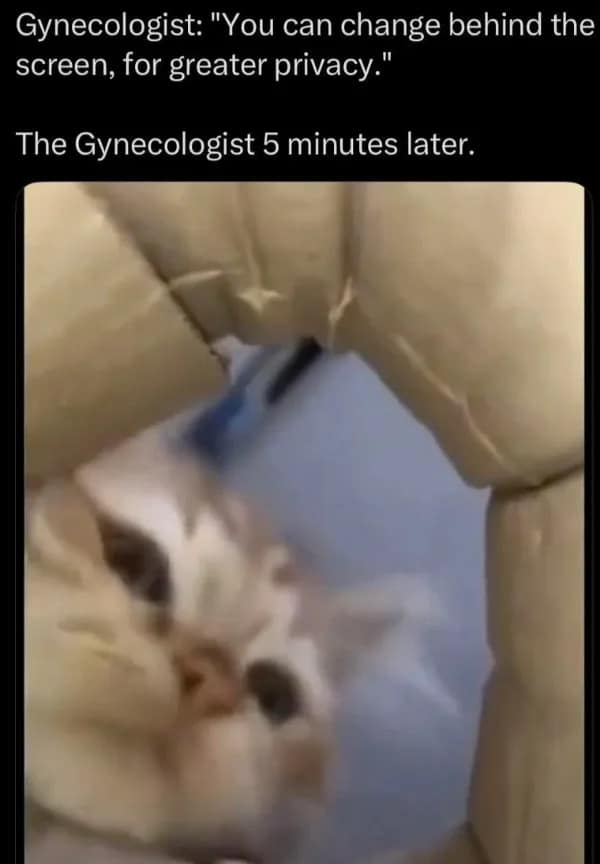 A cat reaction meme jokes about a gynecologist saying you can change behind the screen for privacy, then shows a cat dramatically pushing through soft fabric five minutes later, turning the exam-room curtain into a nosy little medical jump scare.