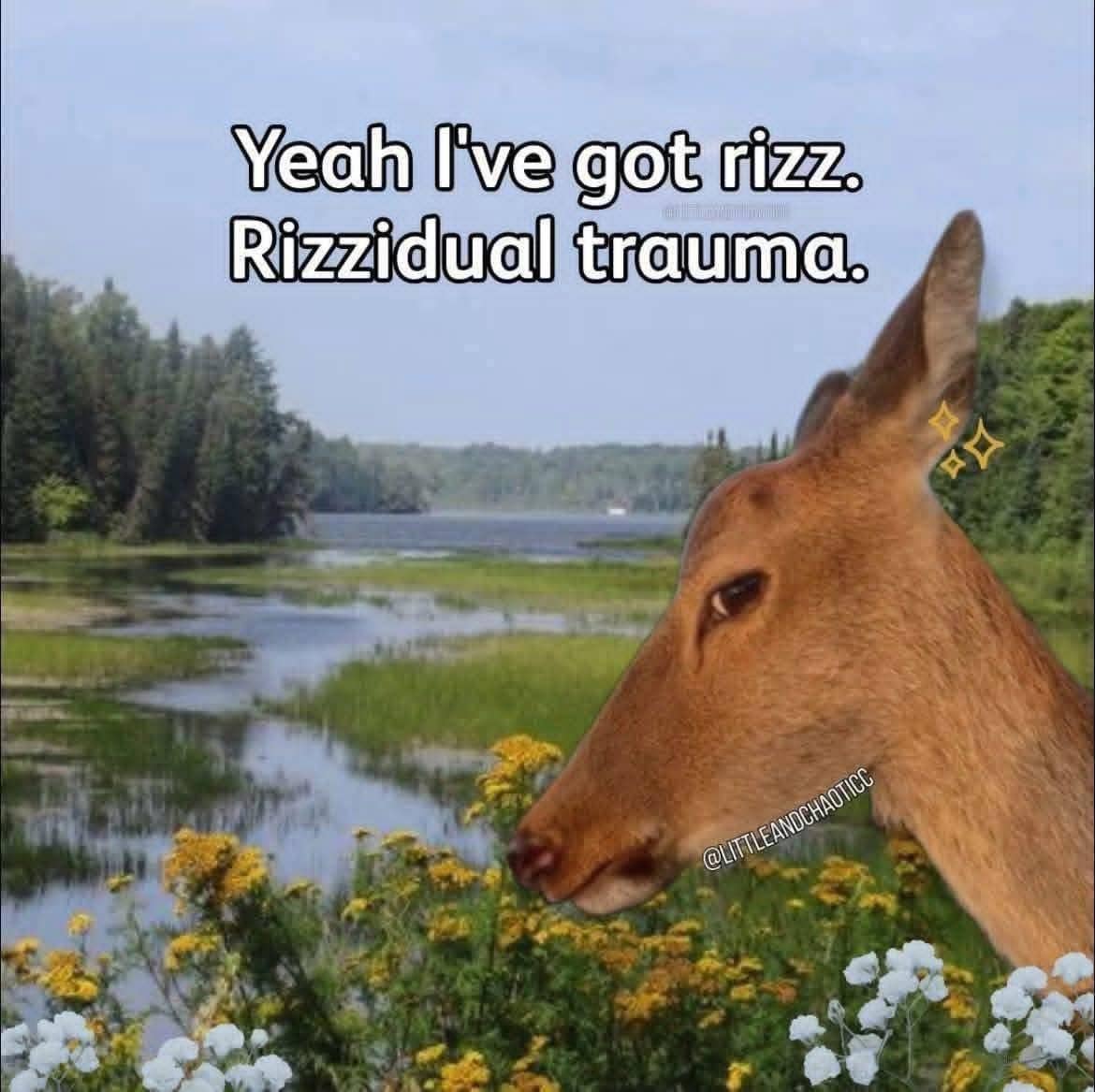 A humorous image macro from a hilarious meme thread showing a close-up of a deer's face superimposed with sparkling yellow stars over a background of a lake and wildflowers, captioned with modern slang: "Yeah I've got rizz. Rizzidual trauma."