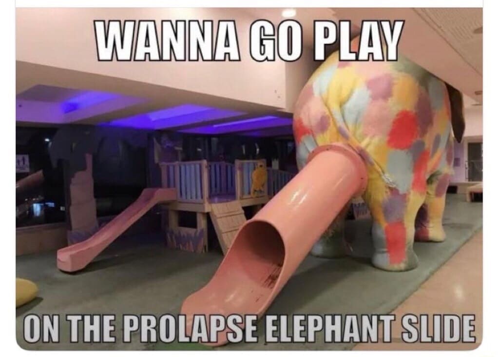 A cursed playground asset from a meme dump capturing an indoor children's play area where a pink plastic slide tunnel emerges directly from the rear end of a large, patchwork painted elephant, captioned: "WANNA GO PLAY ON THE PROLAPSE ELEPHANT SLIDE".
