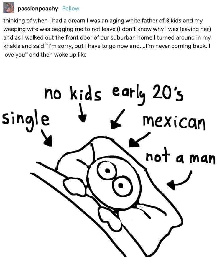 surreal dream confession from a text-based meme dump by user passionpeachy, recounting a vivid dream where they were an aging white father of three leaving his weeping family forever in his khakis, contrasted below with a crude line drawing of a wide-eyed character staring at the ceiling labeled: "single", "no kids", "early 20's", "mexican", "not a man".