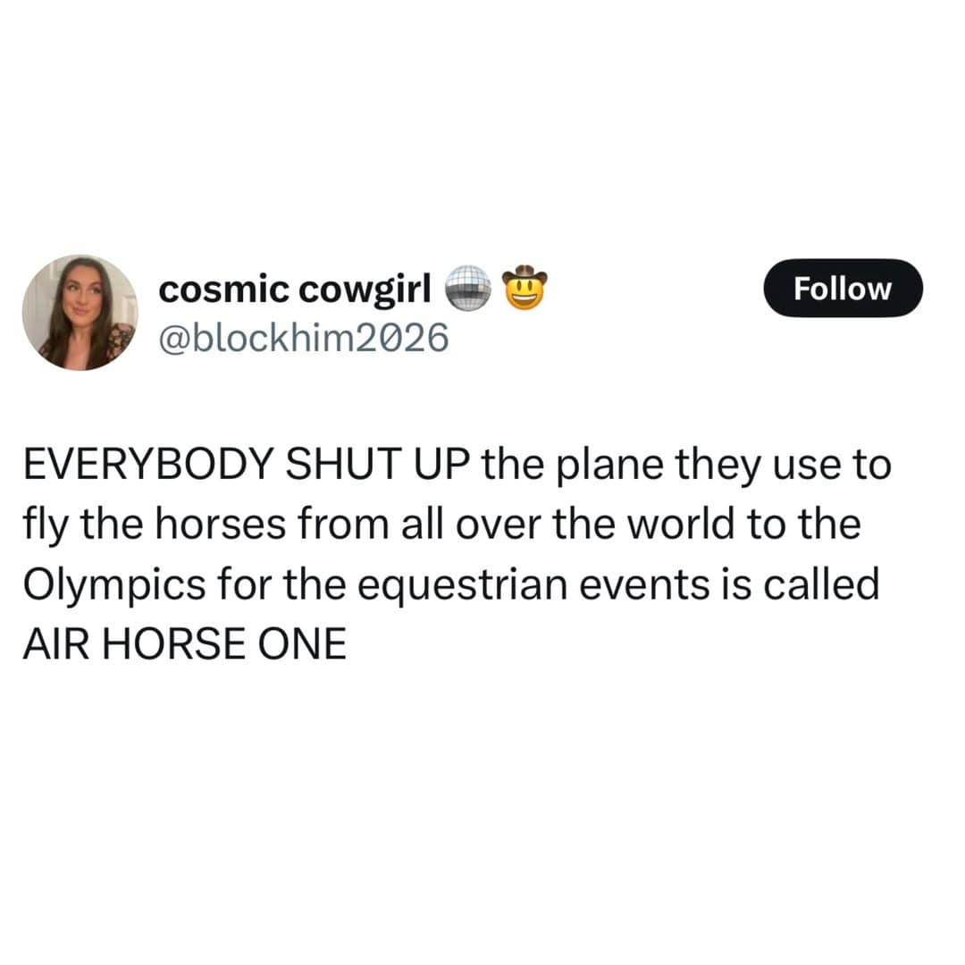 tweet meme excitedly announces that the plane used to fly Olympic equestrian horses around the world is called “Air Horse One,” turning niche sports logistics into the kind of meme dump fact that sounds fake, majestic, and instantly necessary.