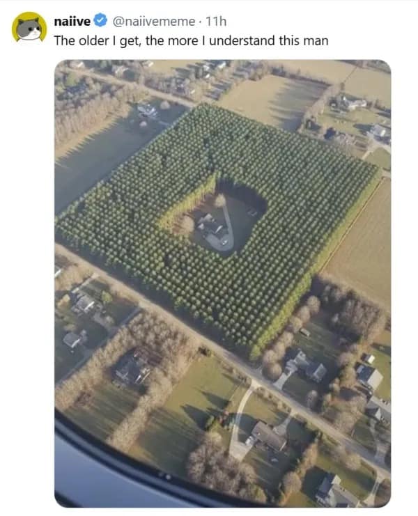 Aerial real estate photograph showcased in a relatable funny meme depicting a lone suburban house completely fortified inside a thick, impenetrable square wall of planted pine trees.